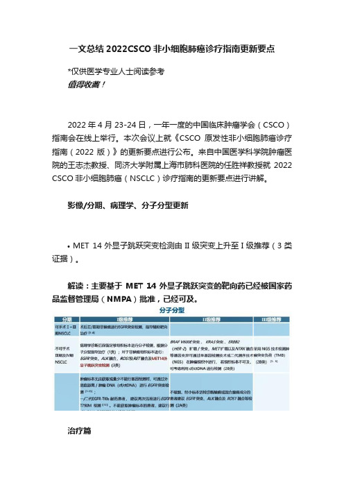 一文总结2022CSCO非小细胞肺癌诊疗指南更新要点