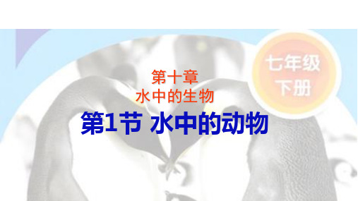 苏科版初中生物七年级下册  5.10.1  水中的动物 课件(共31张PPT)