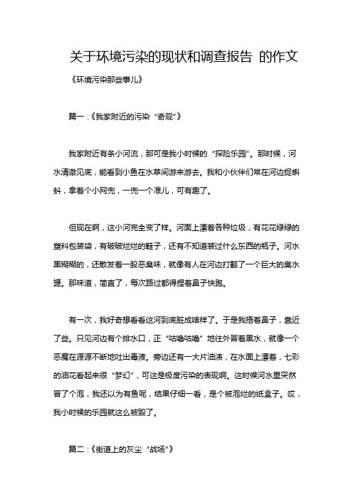 关于环境污染的现状和调查报告 的作文