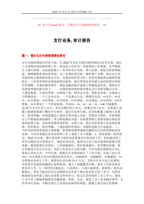 2018-支行业务,审计报告-实用word文档 (5页)