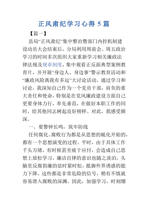 正风肃纪学习心得5篇