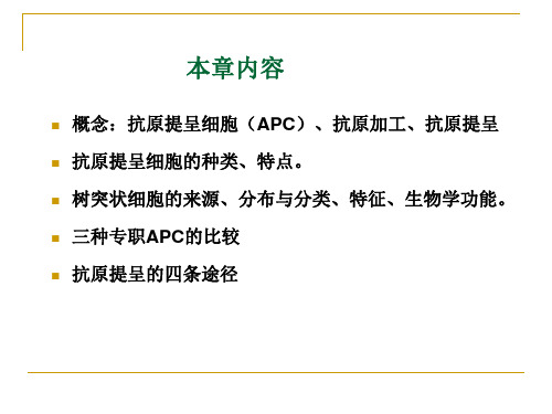 APC及抗原提呈