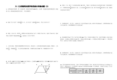 小学六年级数学培优综合训练试题3