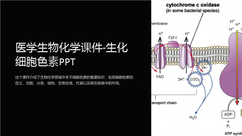 医学生物化学课件-生化细胞色素PPT