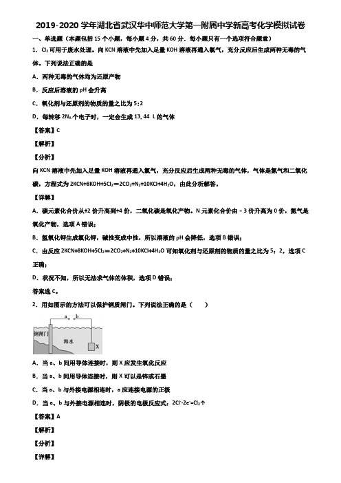 2019-2020学年湖北省武汉华中师范大学第一附属中学新高考化学模拟试卷含解析