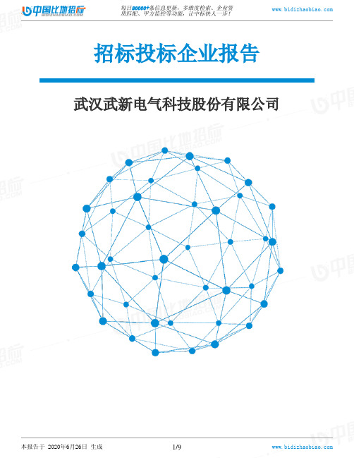 武汉武新电气科技股份有限公司-招投标数据分析报告