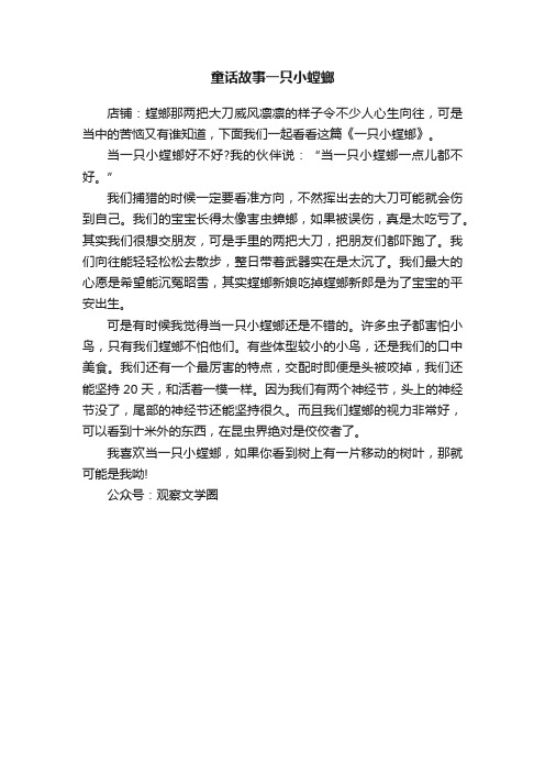 童话故事一只小螳螂