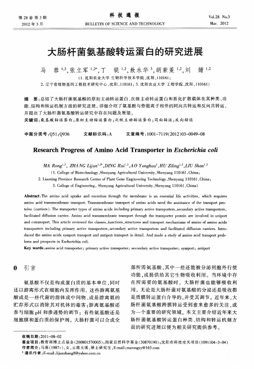 大肠杆菌氨基酸转运蛋白的研究进展