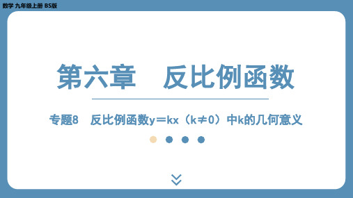 2024-2025学年度北师版九上数学-专题8-反比例函数y=kx(k≠0)中k的几何意义【课件】