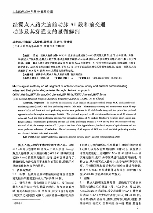 经翼点入路大脑前动脉A1段和前交通动脉及其穿通支的显微解剖