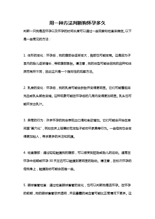 用一种方法判断狗怀孕多久