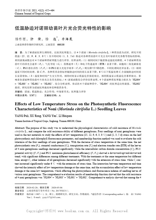 低温胁迫对诺丽幼苗叶片光合荧光特性的影响