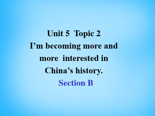 湖南省耒阳市冠湘中学九年级英语下册 Unit 5 Topic 2 