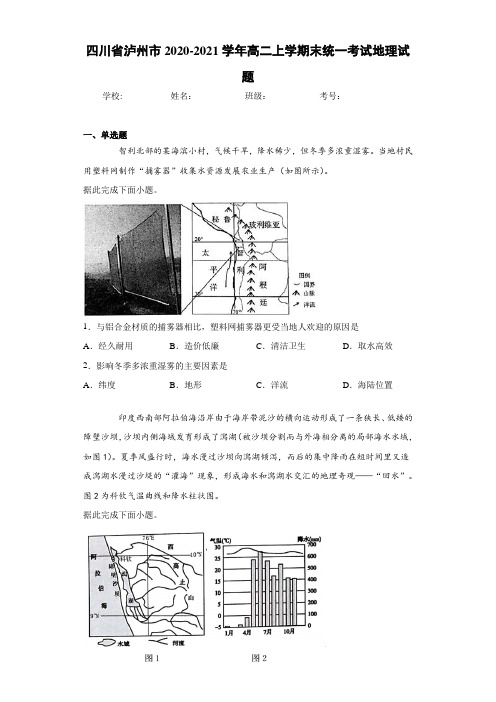 四川省泸州市2020-2021学年高二上学期末统一考试地理试题