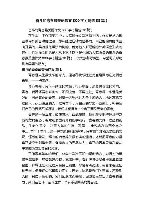 奋斗的青春最美丽作文800字（精选38篇）