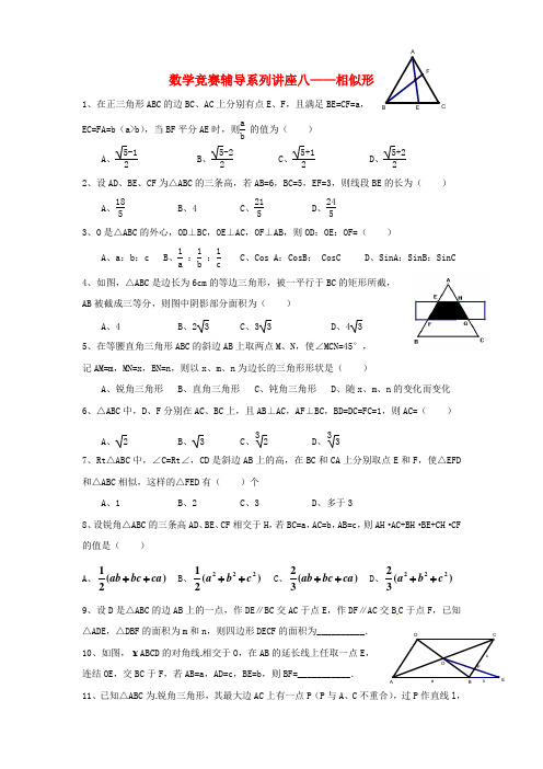 浙江省绍兴县杨汛桥镇九年级数学竞赛辅导系列讲座八相似形练习