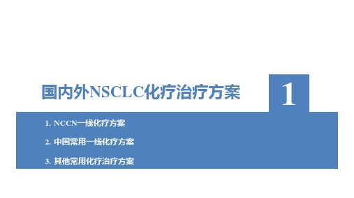 国内外NSCLC化疗治疗方案