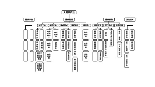 大健康产业结构图