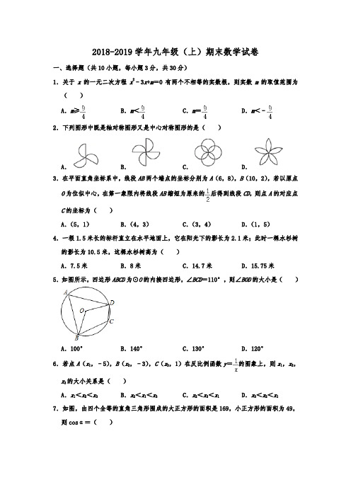 辽宁省盘锦市大洼区2018-2019学年九年级(上)期末数学试卷含解析