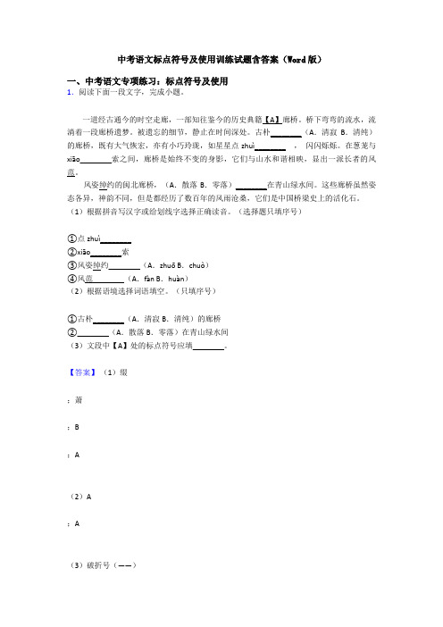 中考语文标点符号及使用训练试题含答案(Word版)