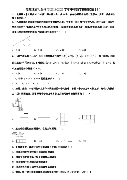 黑龙江省七台河市2019-2020学年中考数学模拟试题(1)含解析