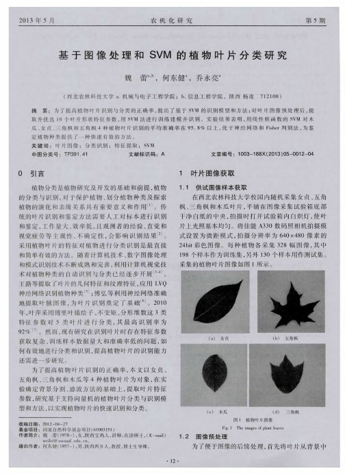 基于图像处理和SVM的植物叶片分类研究