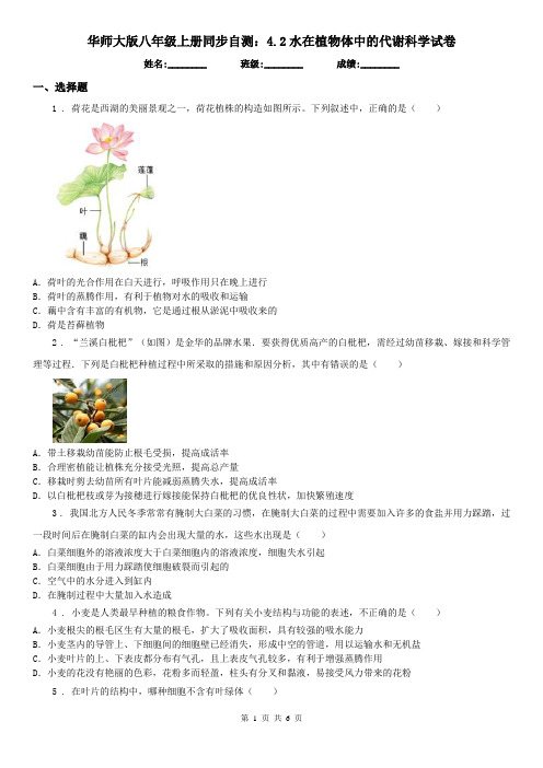 华师大版八年级上册同步自测：4.2水在植物体中的代谢科学试卷