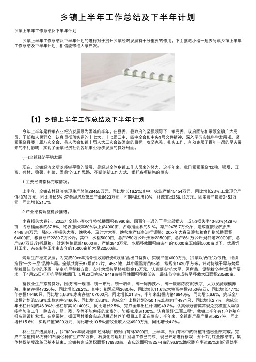 乡镇上半年工作总结及下半年计划