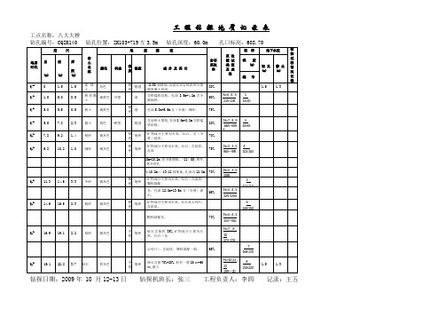 工程钻探地质记录表