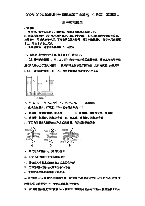 2023-2024学年湖北省黄梅县第二中学高一生物第一学期期末联考模拟试题含解析