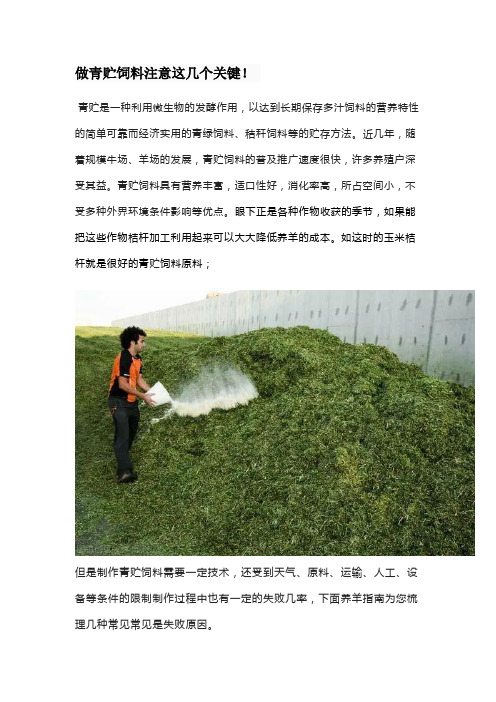 做青贮饲料注意这几个关键