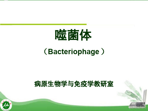 医学微生物学标准化课件  第三章