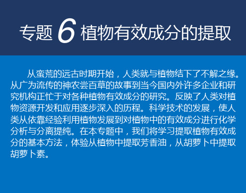 专题6植物有效成分的提取