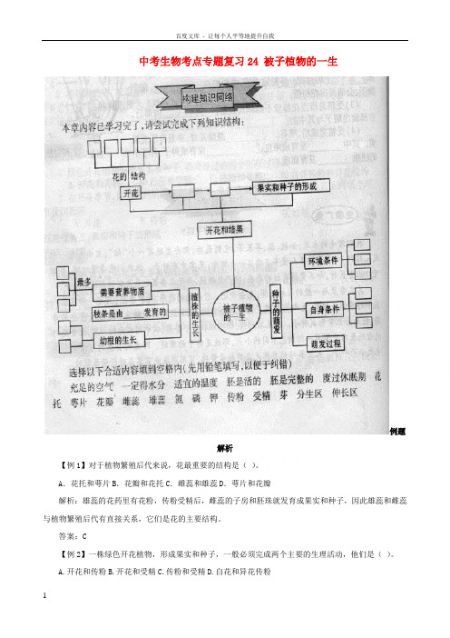 中考生物考点专题复习24被子植物的一生