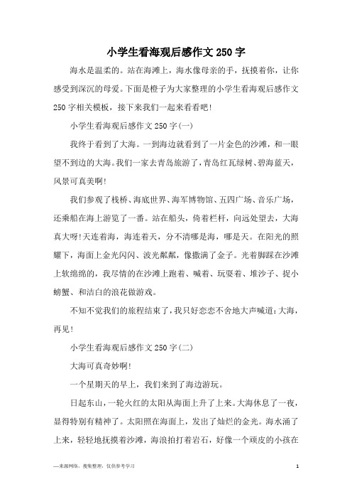 小学生看海观后感作文250字
