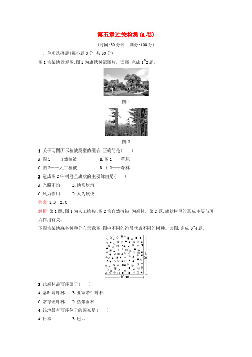 广西专版2024_2025学年新教材高中地理第5章植被与土壤过关检测A卷新人教版必修第一册