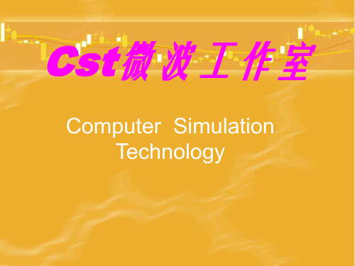 Cst微波工作室