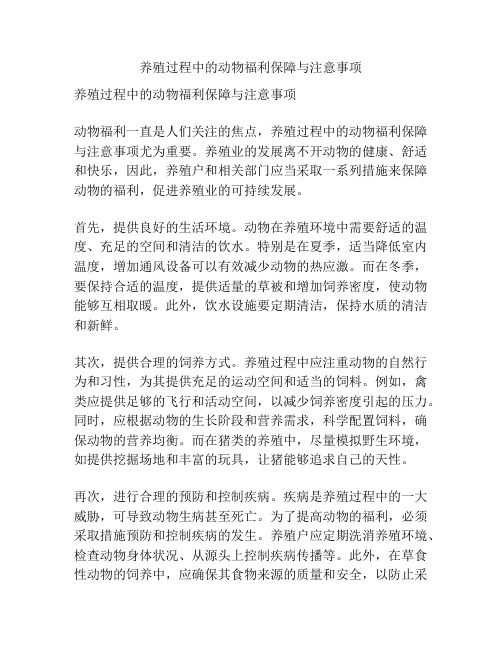 养殖过程中的动物福利保障与注意事项