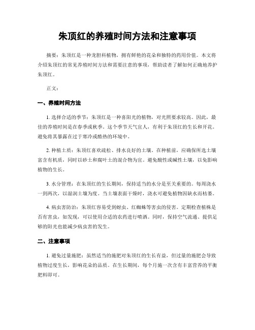 朱顶红的养殖时间方法和注意事项