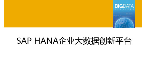 SAP HANA企业大数据创新平台