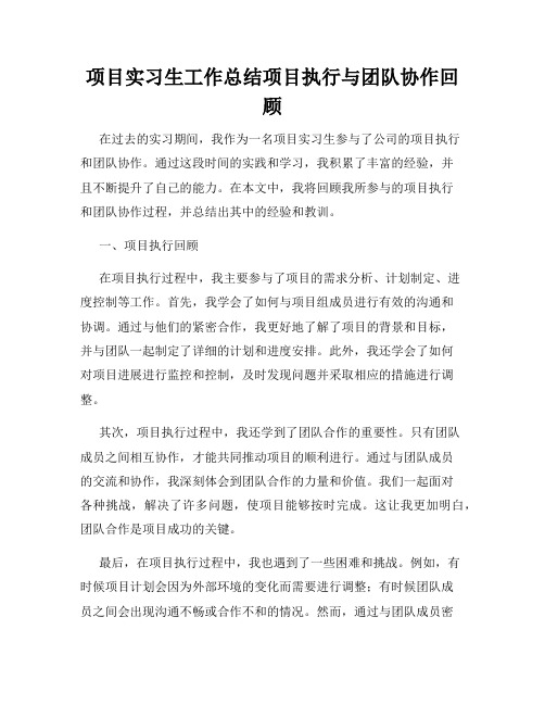 项目实习生工作总结项目执行与团队协作回顾