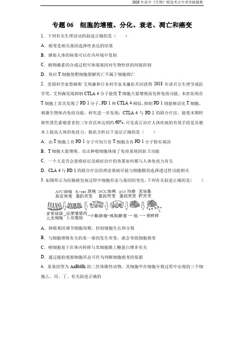 高中生物考点专题06 细胞的增殖、分化、衰老、凋亡和癌变(原卷版)