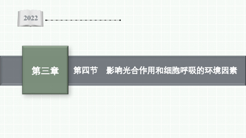 2022-2023学年 苏教版   必修一  影响光合作用和细胞呼吸的环境因素(54张)课件