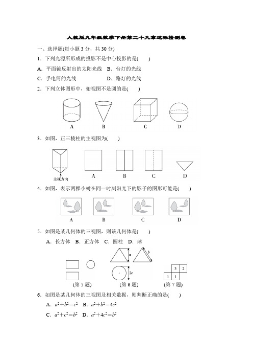 人教版九年级数学下册第二十九章达标检测卷含答案