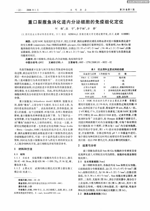 重口裂腹鱼消化道内分泌细胞的免疫组化定位