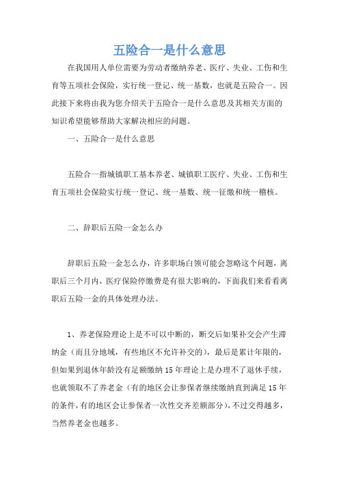 五险合一是什么意思