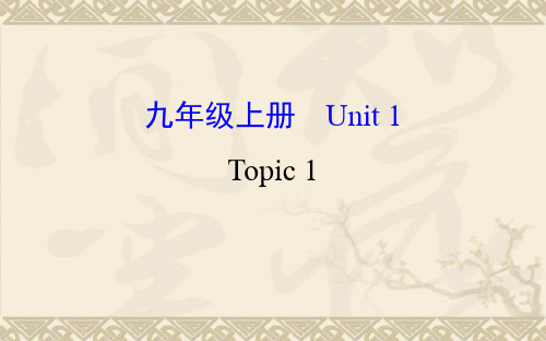 中考复习九年级英语上册 Unit 1 Topic 2