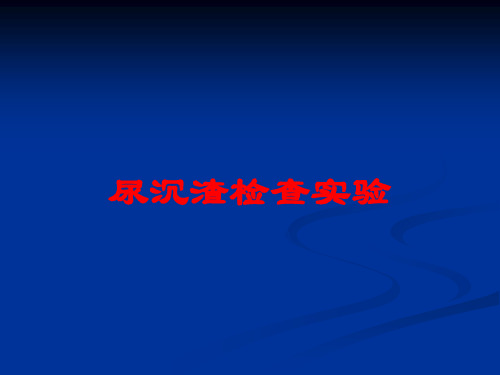 尿沉渣检查实验培训课件