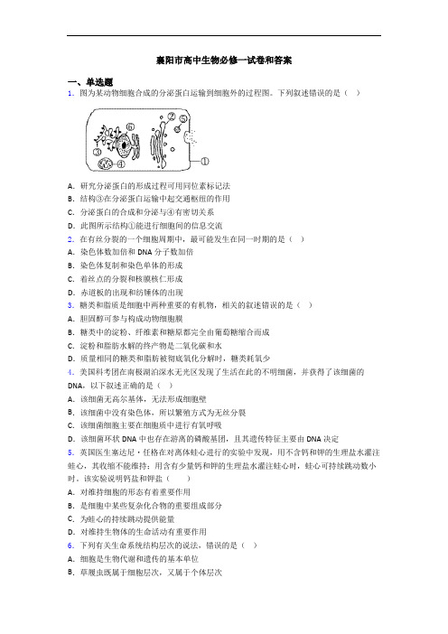 襄阳市高中生物必修一试卷和答案