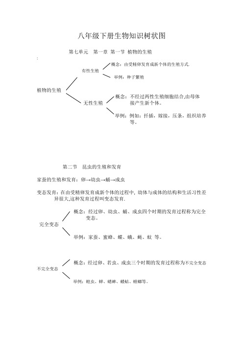 八年级下册生物知识树状图doc